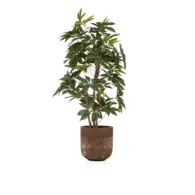 Kunstplant Schefflera - 220 cm