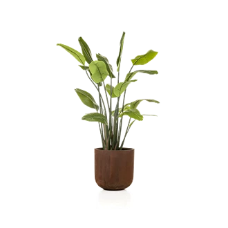 Kunstplant Strelitzia - 200 cm
