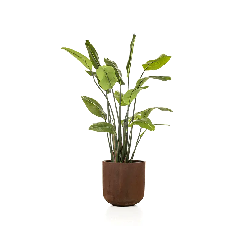 Kunstplant Strelitzia - 200 cm