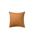Kussen terra 45x45 cm