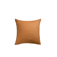 Kussen terra 45x45 cm