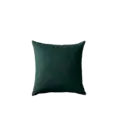Kussen velour groen 45x45 cm