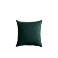 Kussen velour groen 45x45 cm