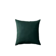 Kussen velour groen 45x45 cm