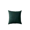 Kussen velour groen 45x45 cm