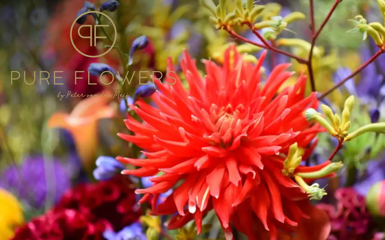Partner -- Pure Flowers