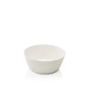 President saladbowl 14cm