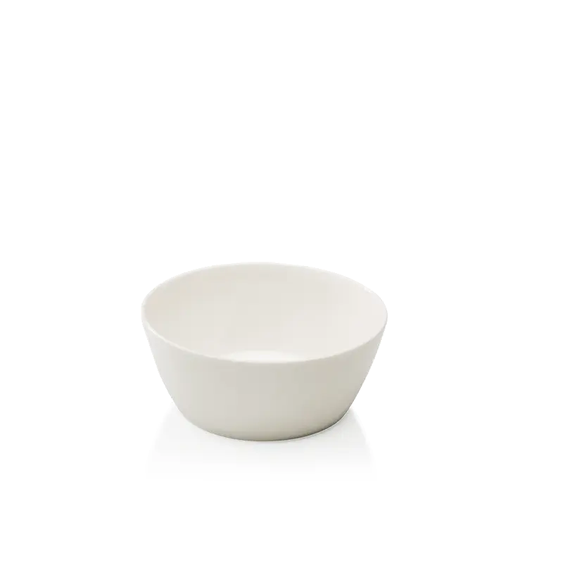 President saladbowl 14cm