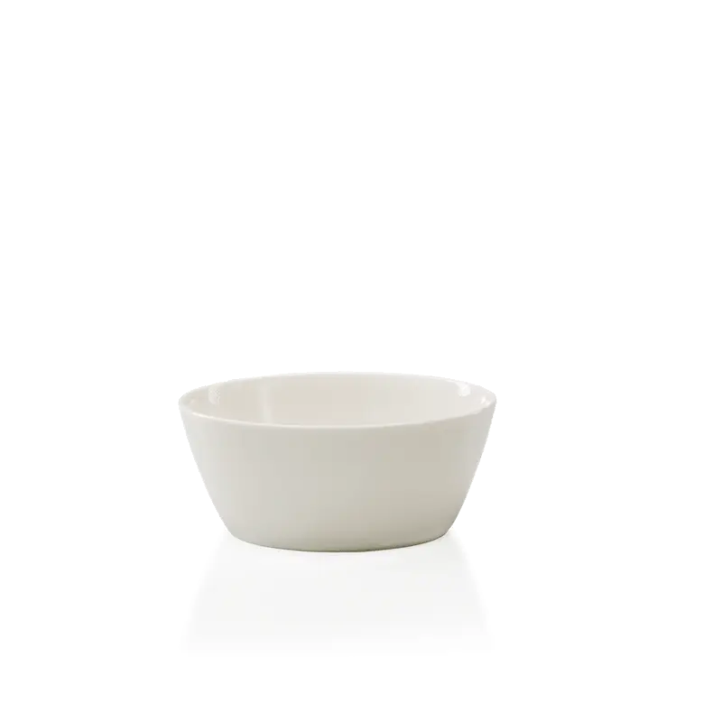 President saladbowl 14cm