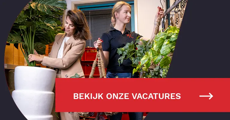 Sub banner mobile - januari