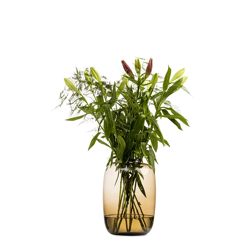 Vaas Large Bulb Mocca 28.5x40 cm