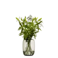 Vaas Large Bulb Smoke 28.5x40 cm