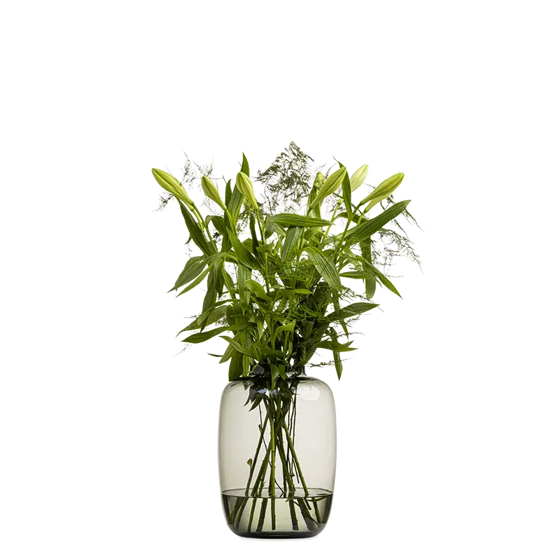 Vaas Large Bulb Smoke 28.5x40 cm