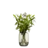 Vaas Large Bulb Smoke 28.5x40 cm