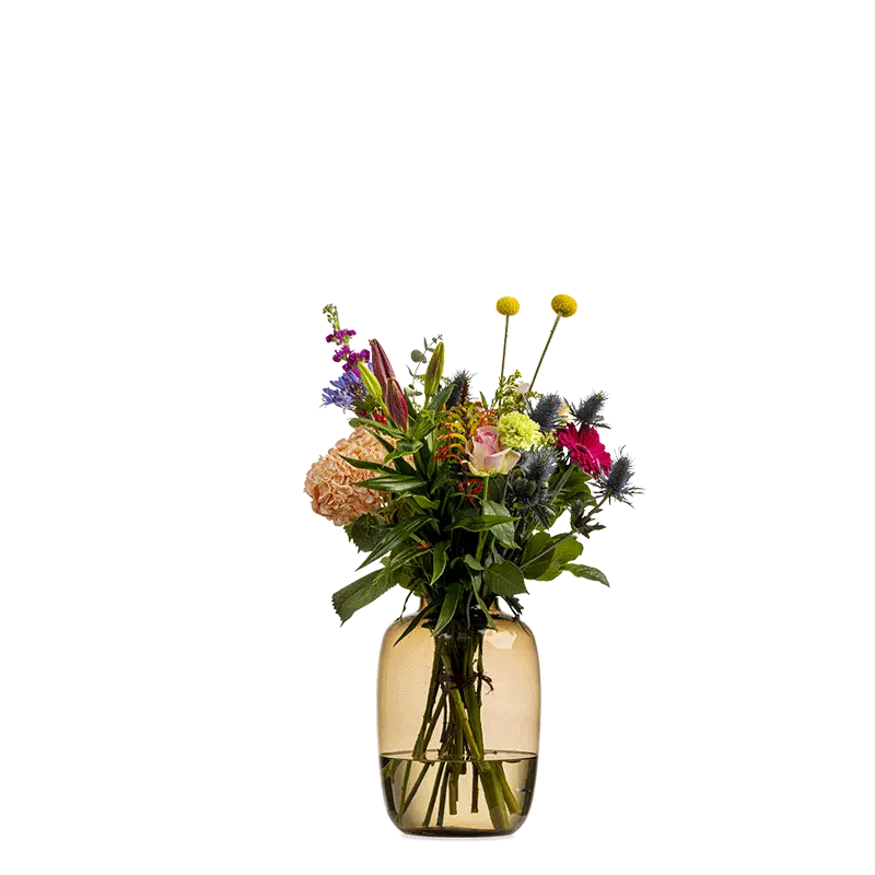 Vaas Medium Bulb Mocca 25x35 cm