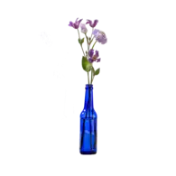 Vaasje Fles Blauw